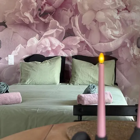 Apartman Romantique & Prova - - Retroprojecteur Netflix *