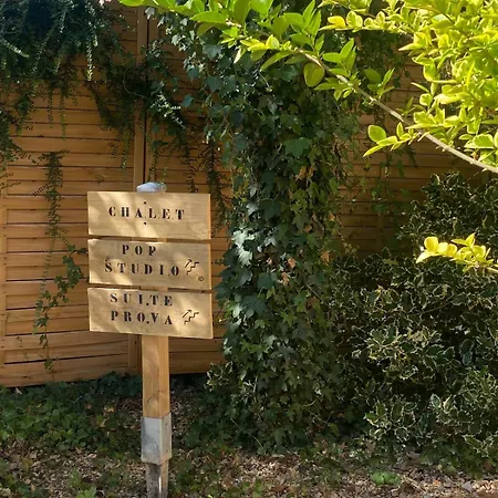 Romantique & Prova - - Retroprojecteur Netflix